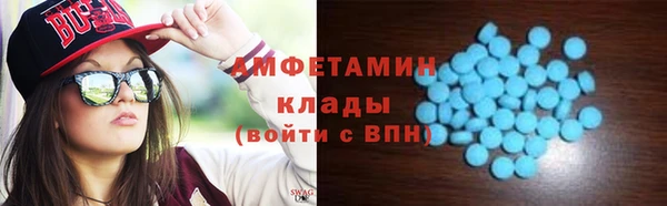 прущие крисы Горняк