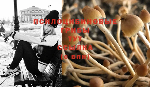 синтетический гашиш Вяземский