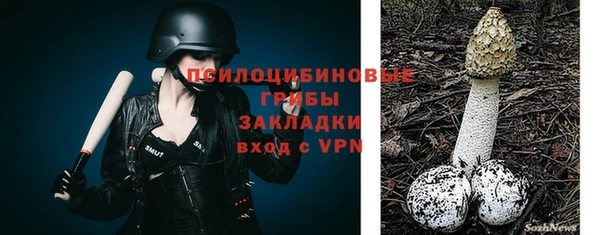 трава Горно-Алтайск