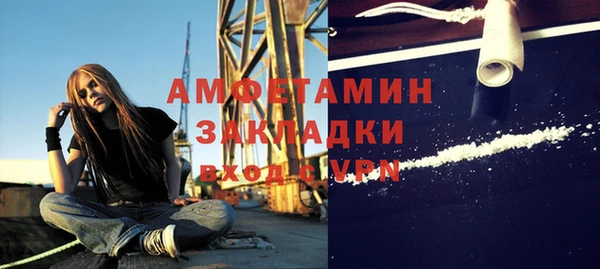 прущие крисы Горняк