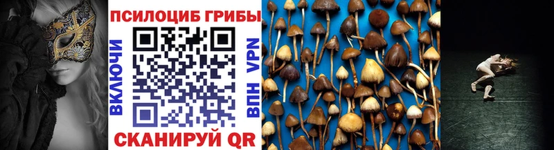 Купить закладки  Нерчинск  Псилоцибиновые грибы мухоморы 